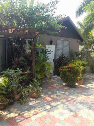 New Kingston Apartment | 11 Glenhope Avenue