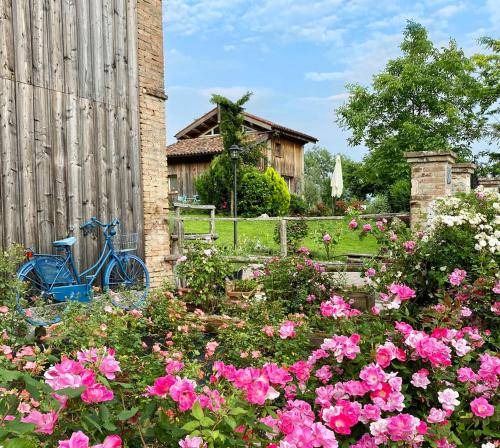 Santa Giustina House | 55 m² House ∙ 1 bedroom ∙ 3 guests