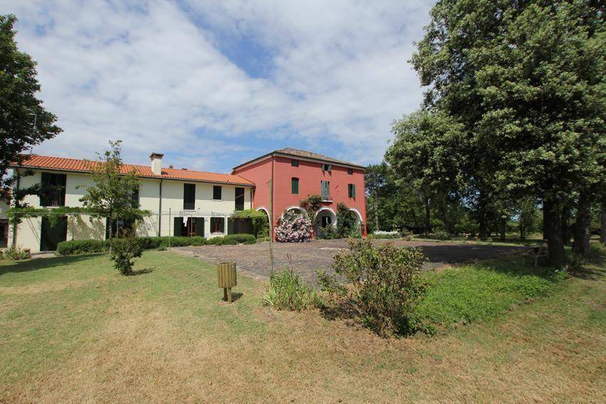 Rosolina Apartment | 60 m² Apartment ∙ 1 bedroom ∙ 5 guests