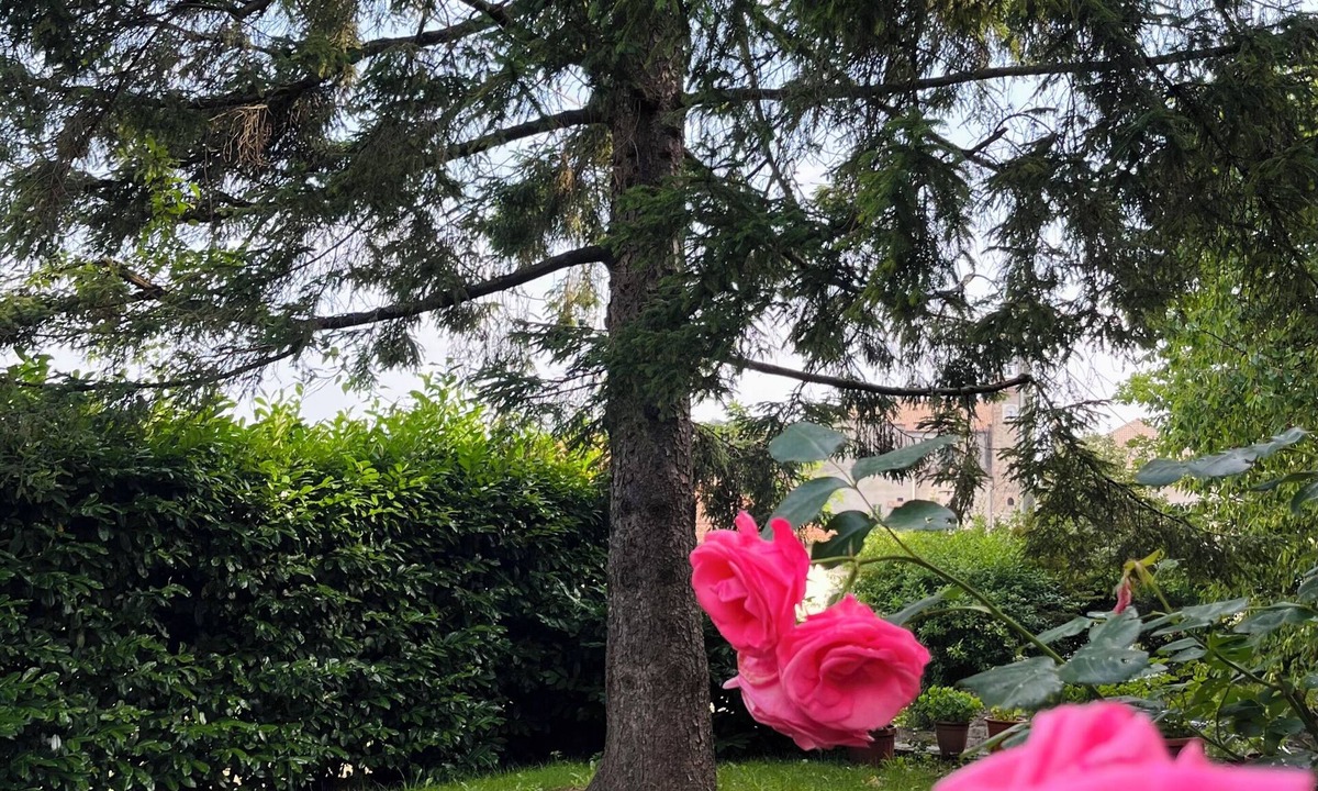 Casaleggio Boiro Apartment | Accommodation the pine tree