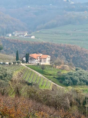 Negrar House | Agriturismo Cascina Capo