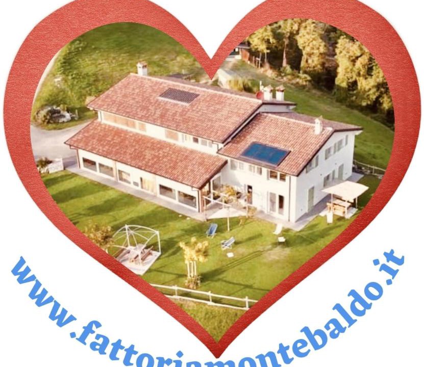 Caprino Veronese House | Agriturismo Fattoria Monte Baldo VISTA LAGO