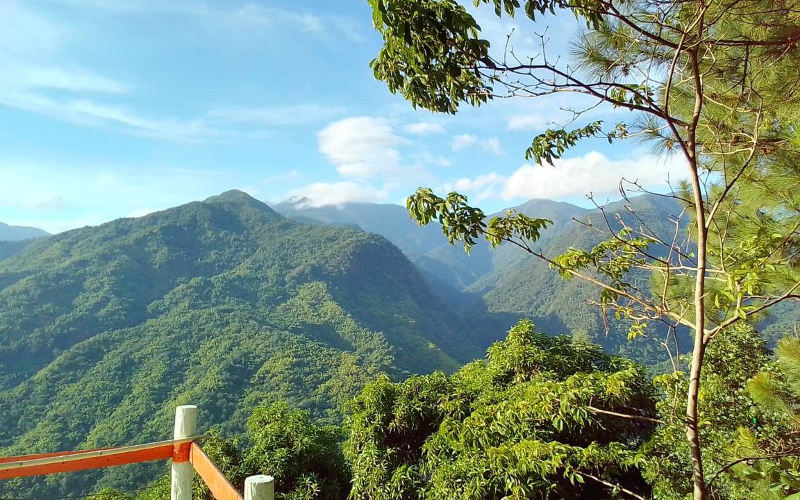 Blue Mountains National Park Apartment | Apartment ∙ 8 guests