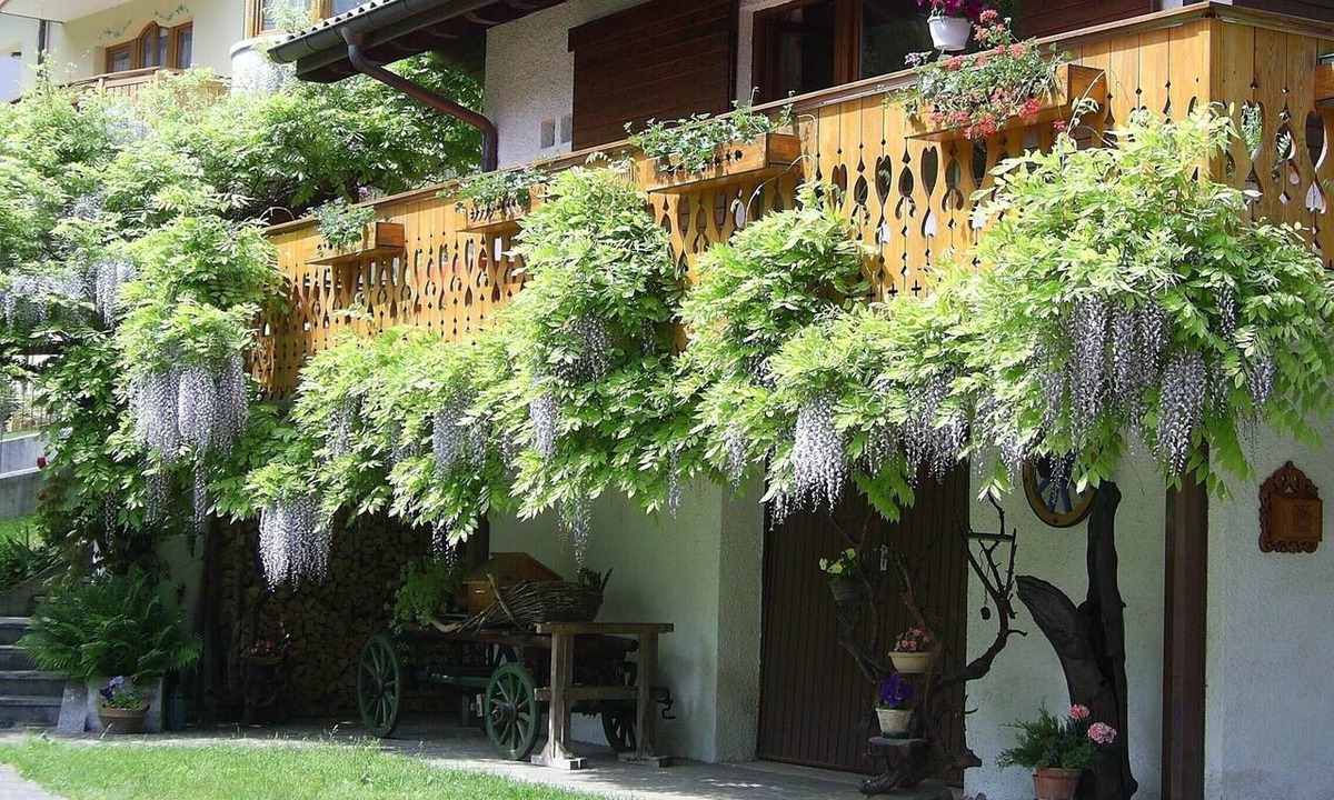 Molveno Apartment | Apartment 'Bianca' with Lake View, Wi-Fi and Air Conditioning
