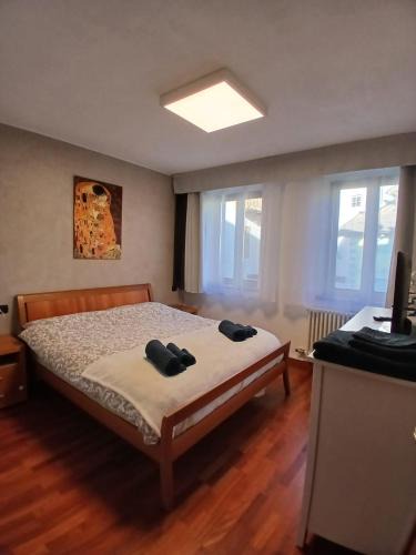 Monclassico Apartment | Appartamento a Dimaro in Val di Sole