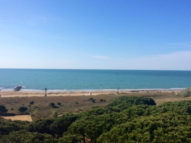 Jesolo Pineta Apartment | ARISTON - WALTERIGATO Apartments SOLO PER FAMIGLIE