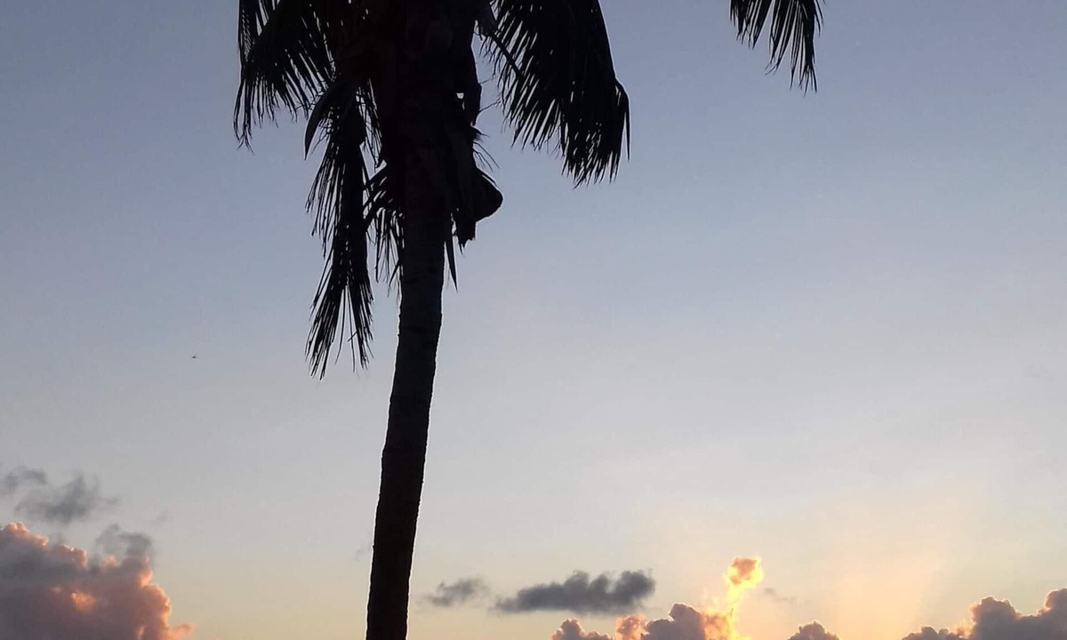 Freeport House | Bahama Breeze Waterfront Luxury Detached Vacation Home