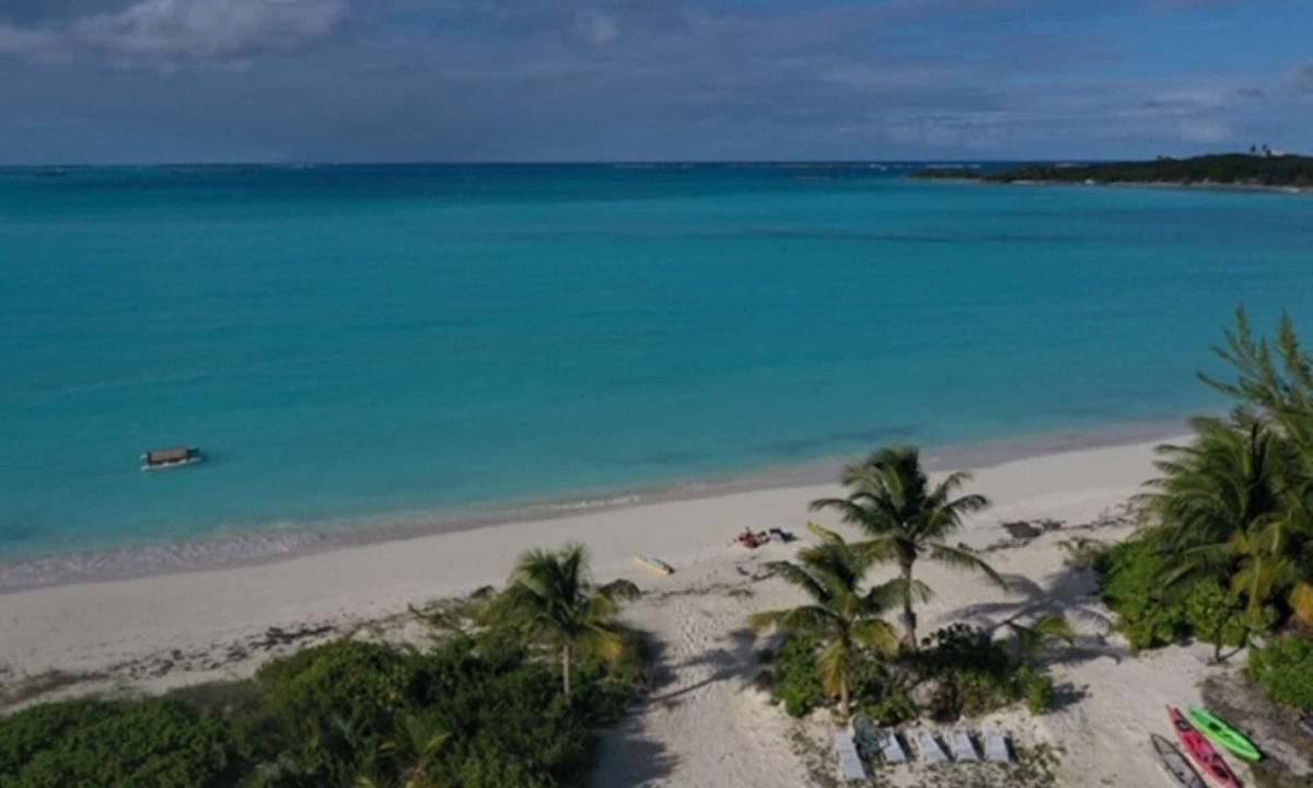 Beach Swim Turtles Hoopers Bay | Great Exuma