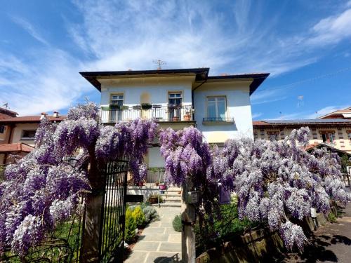 Bra Bed & Breakfast | Bed&Bra