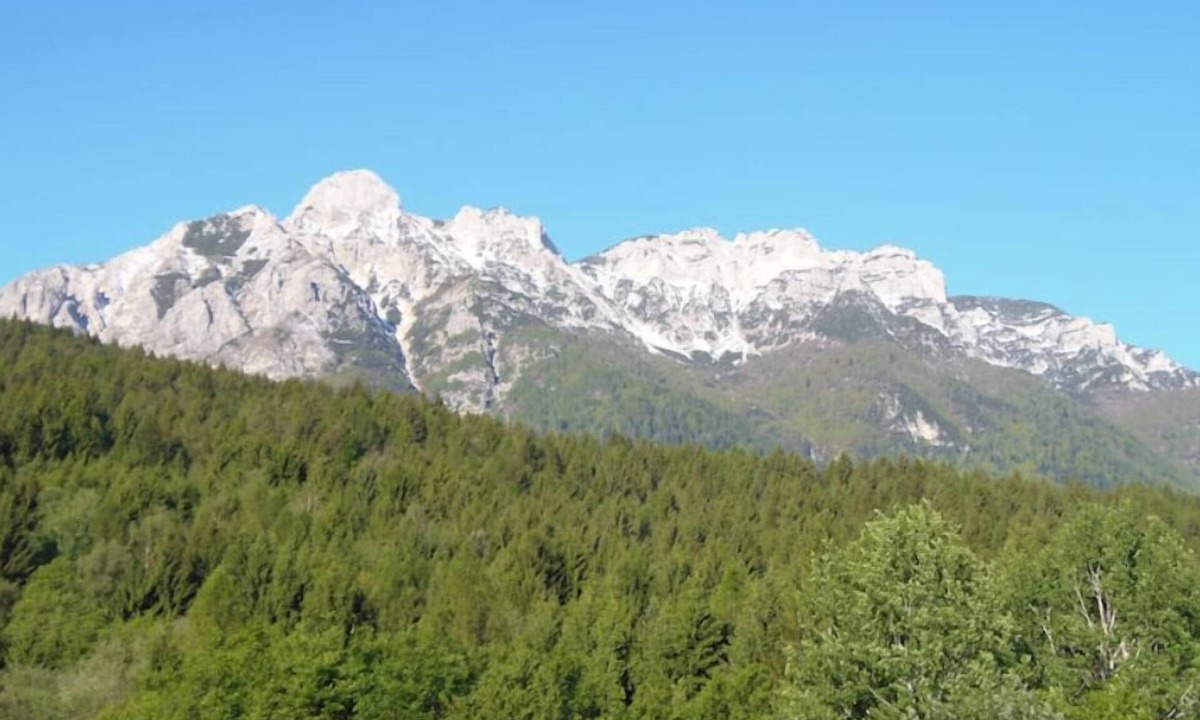 Altopiano della Vigolana Apartment | Between lake and woods west side CIPAT022236-AT-053642