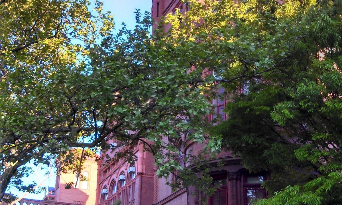 Brooklyn | Bedford-Stuyvesant