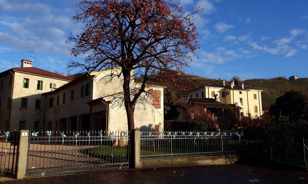 Col San Martino Apartment | By Meri tourist rental 026026-LOC-00004