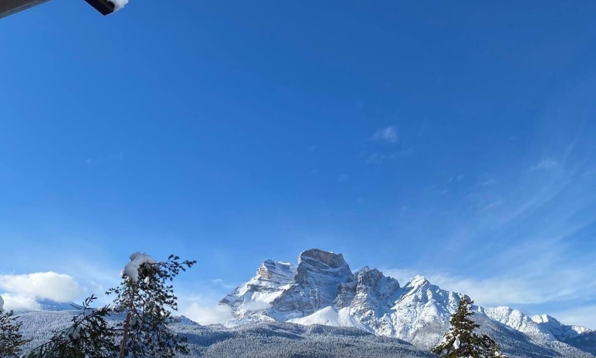 Borca di Cadore Ski Chalet | Chalet nestled in the woods a few minutes from Cortina d 'Ampezzo
