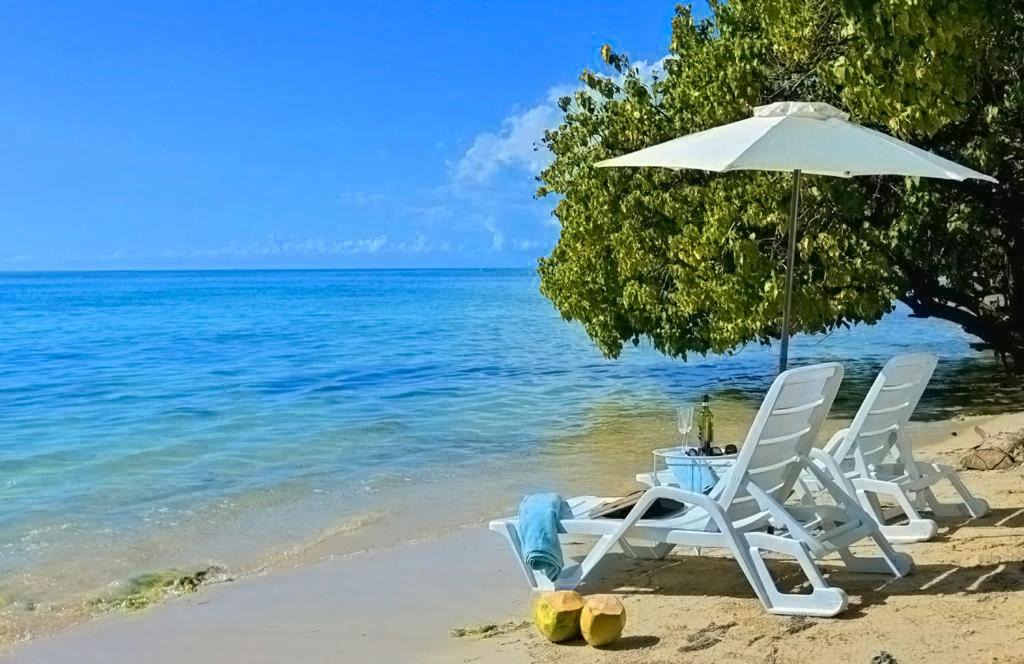 Whitehouse House | Champagne Villa