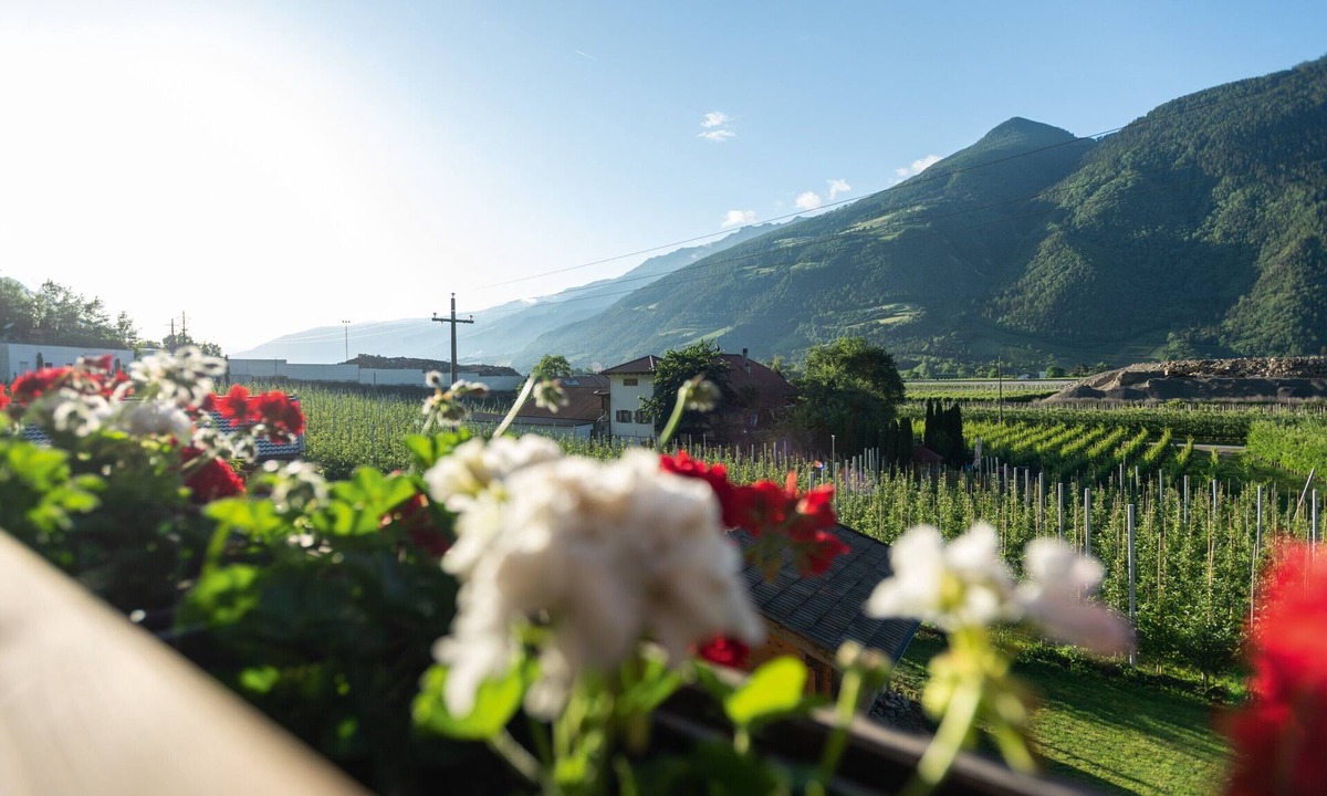 Castelbello-Ciardes Apartment | Cosy Apartment “ Pixnerhof Golden” on a farm with Wi-Fi & Mountain View