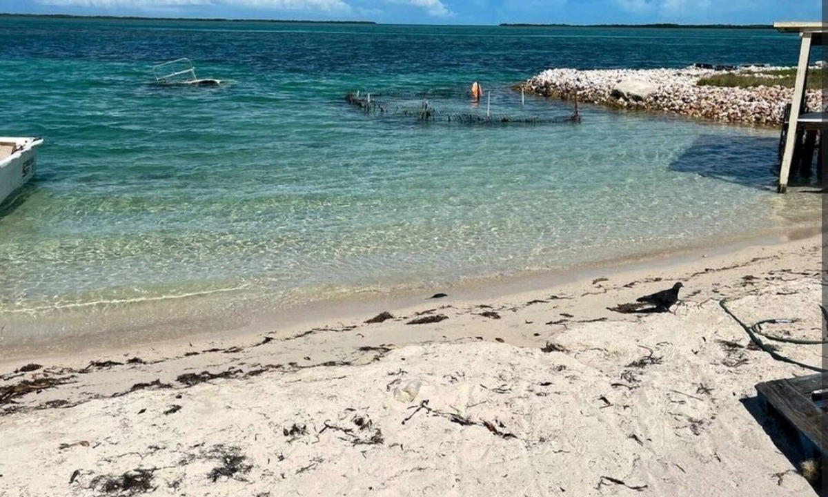 Alice Town House | Dames Getaway Bimini