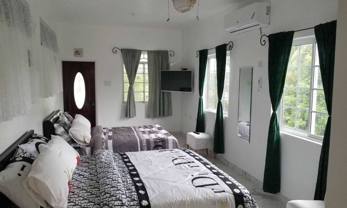 Porus Apartment | Delightful studio with AC in Clarendon Park