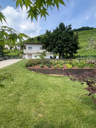 Farra di Soligo Bed & Breakfast | el Zhìgol B&B