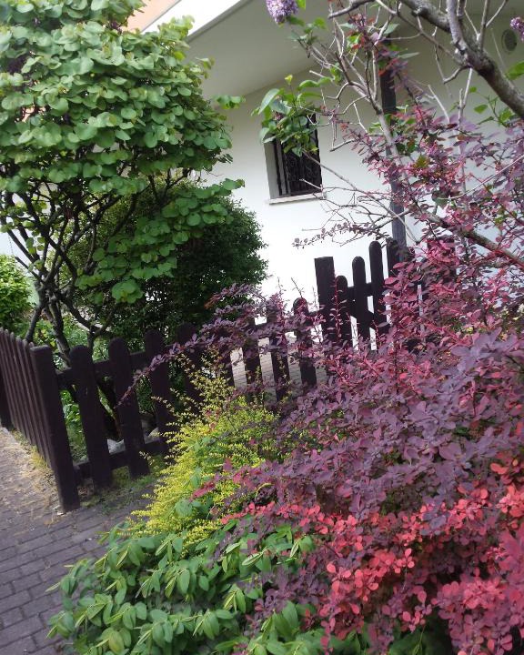 Padova Apartment | Ground floor,Top level