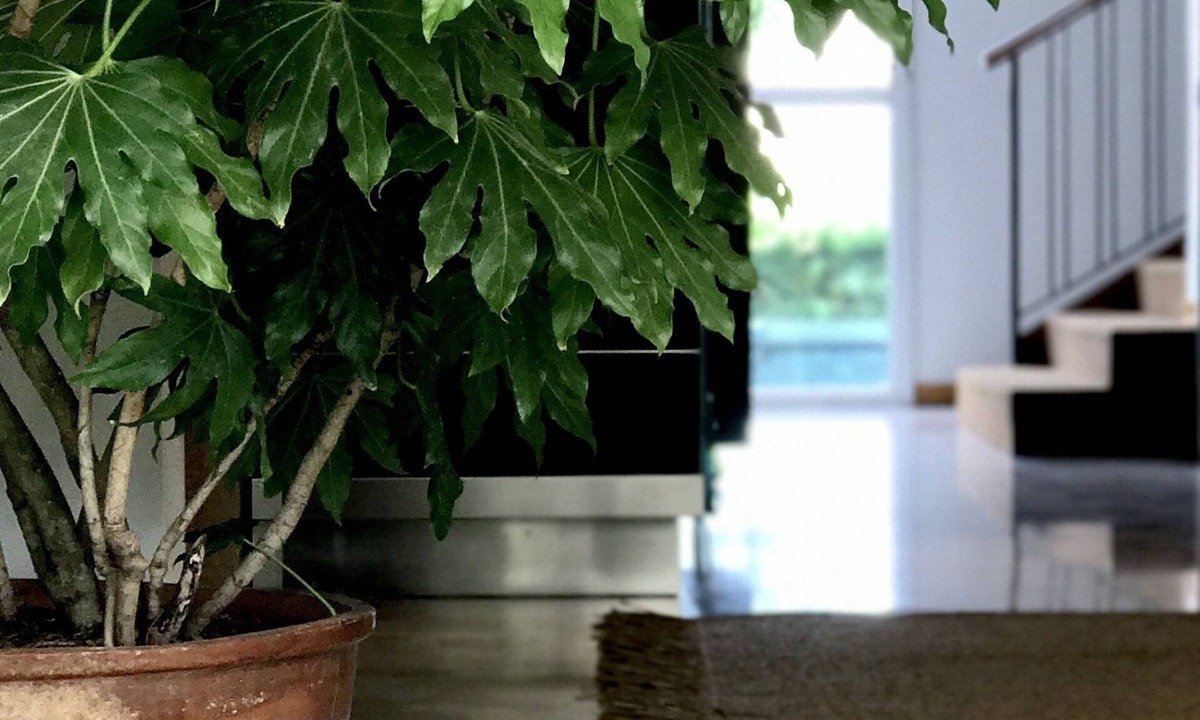 Jesolo Pineta Hotel | Harvey
