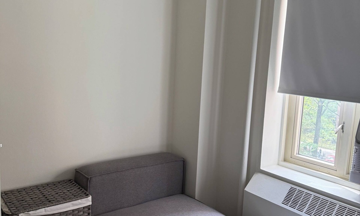 East Village Apartment | Healthcare workers dream Lower east side Manhattan 1-bd available shared apt