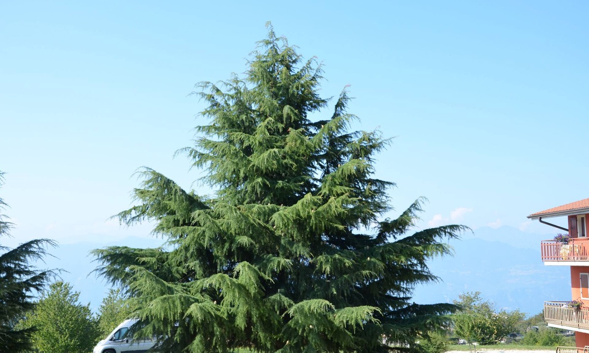 San Zeno di Montagna Hotel | Hotel Belvedere