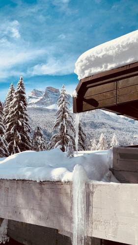 Borca di Cadore Hotel | Hotel Boite