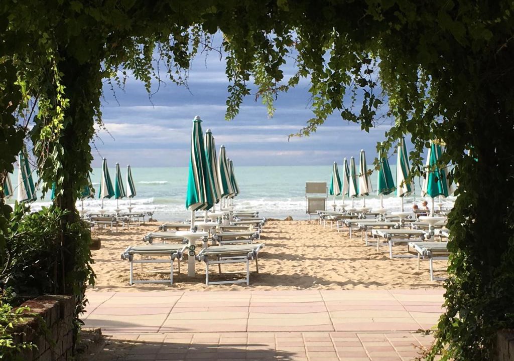 Jesolo Pineta Hotel | Hotel Viña del Mar Pineta
