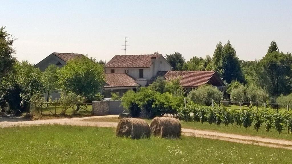 Conegliano Bed & Breakfast | Il giuggiolo
