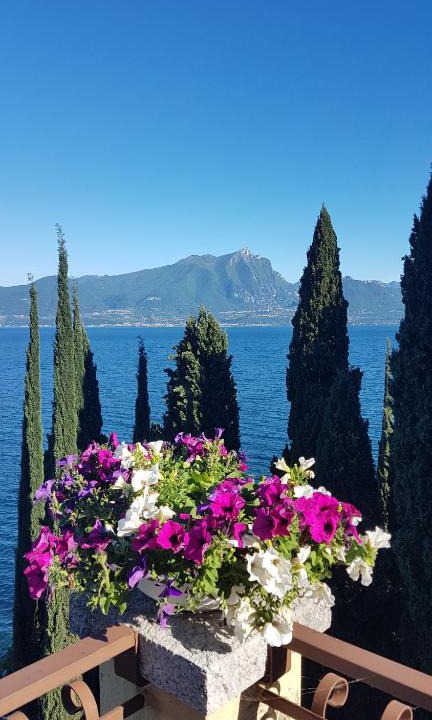 Torri del Benaco Apartment | Il Paradiso Apartments Great View Gardasee
