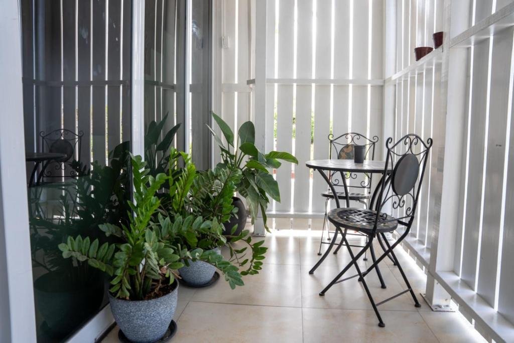 Kingston Bed & Breakfast | IVS Bed and Breakfast