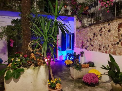 Centro Storico Sud House | La Casa di Daniele