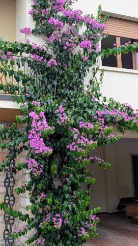 Torri del Benaco Apartment | Lake Garda Renovated Apartment