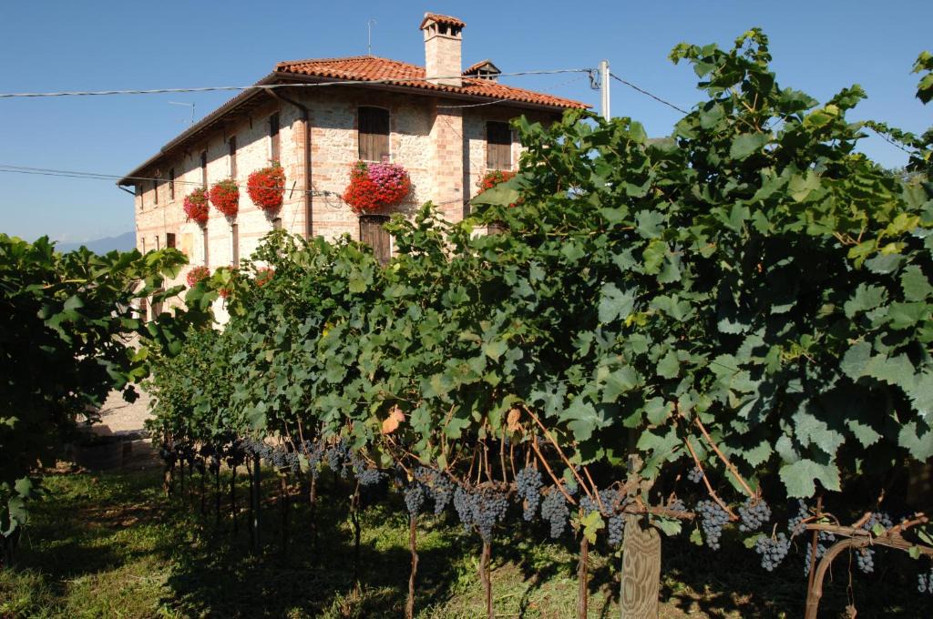 Susegana House | Le Fade