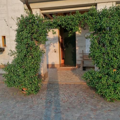 Conegliano Apartment | Locazione turistica la casetta