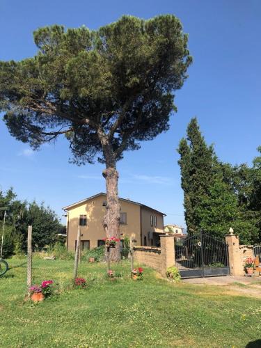 Acquapendente House | Podere Telesforo