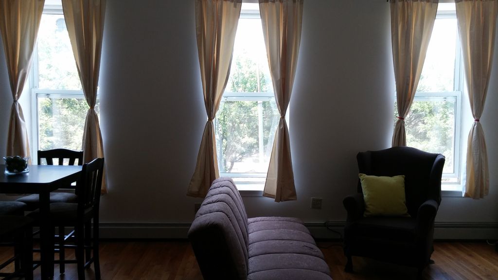 Prospect Heights Apartment | Spacious Prospect Heights Brooklyn 1 BR