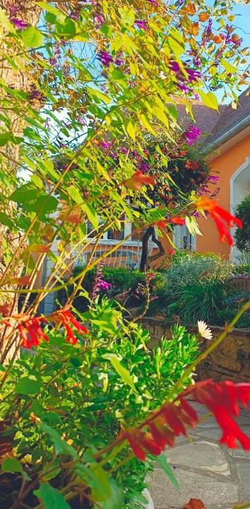Les Muriers Apartment | STUDIOS La Varenne Saint Maur entre PARIS ET DISNEYLAND