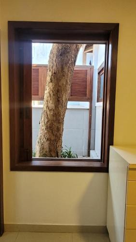 Vila Caranga House | Turtle house 1