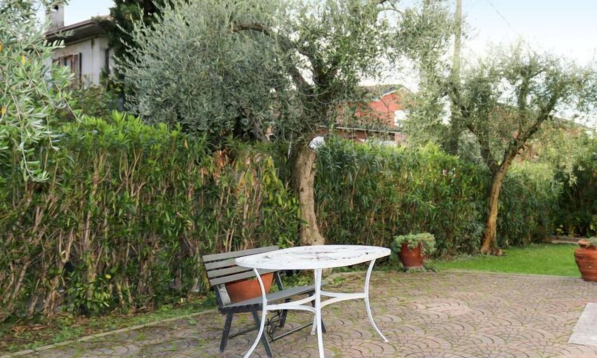 Martin | Lazise