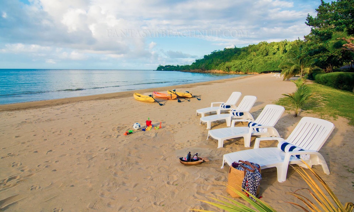 Rio Bueno Villa | Villa BEACHNUT - ON PRIVATE BEACH IN A GATED COMMUNITY