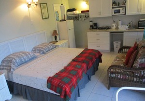 BEST KING /TWIN BEACH STUDIO for 2+ and swim with TURTLES Hoopers Bay Beach