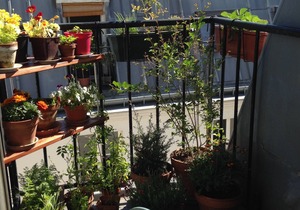 Charming 2 rooms in Montmartre