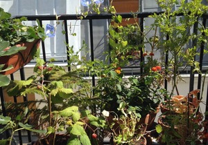 Charming 2 rooms in Montmartre