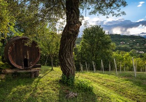 Country house in the Prosecco hills, 4 apartments