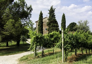 Country house in the Prosecco hills, 4 apartments