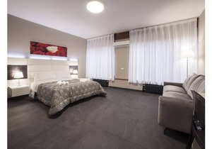 DELUXE ROOM - LIVING ARENA