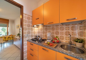 Holiday apartment with terrace and air conditioning