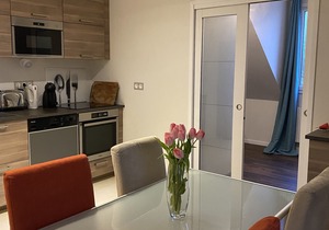 Spacious and elegant 5 'DISNEYLAND apartment