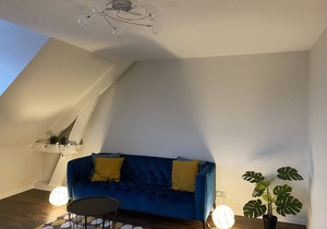 Spacious and elegant 5 'DISNEYLAND apartment